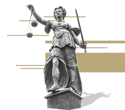 دکتر لیلا کریمانی، وکیل پایه یک دادگستری